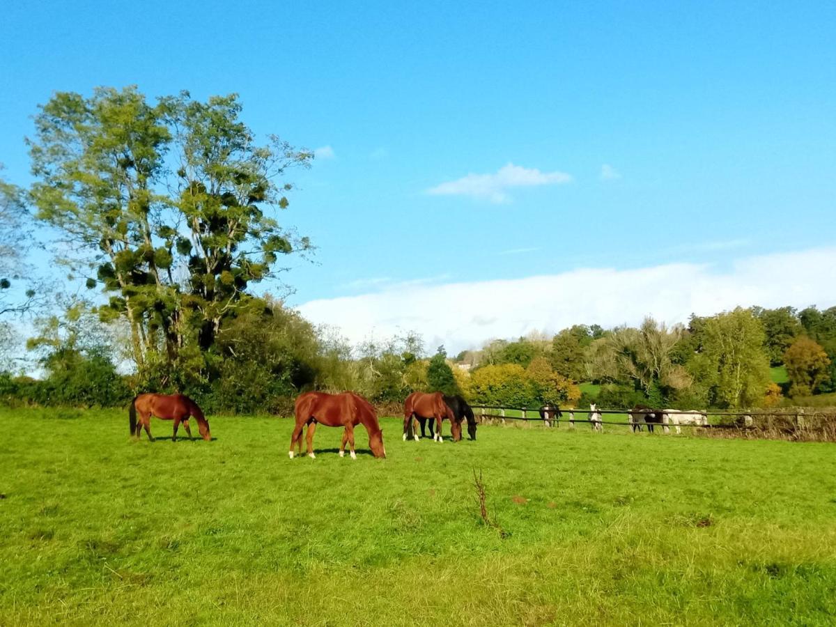 Saint-Desir Relais Equestre Du Miloir - Chambres D'Hotes المظهر الخارجي الصورة
