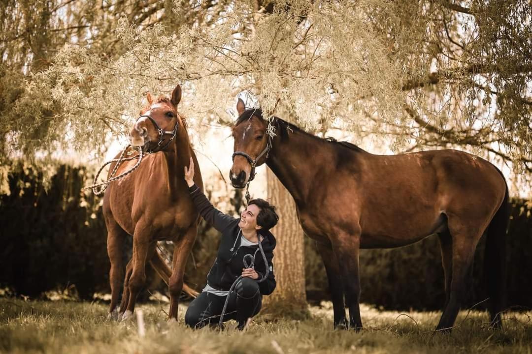 Saint-Desir Relais Equestre Du Miloir - Chambres D'Hotes المظهر الخارجي الصورة