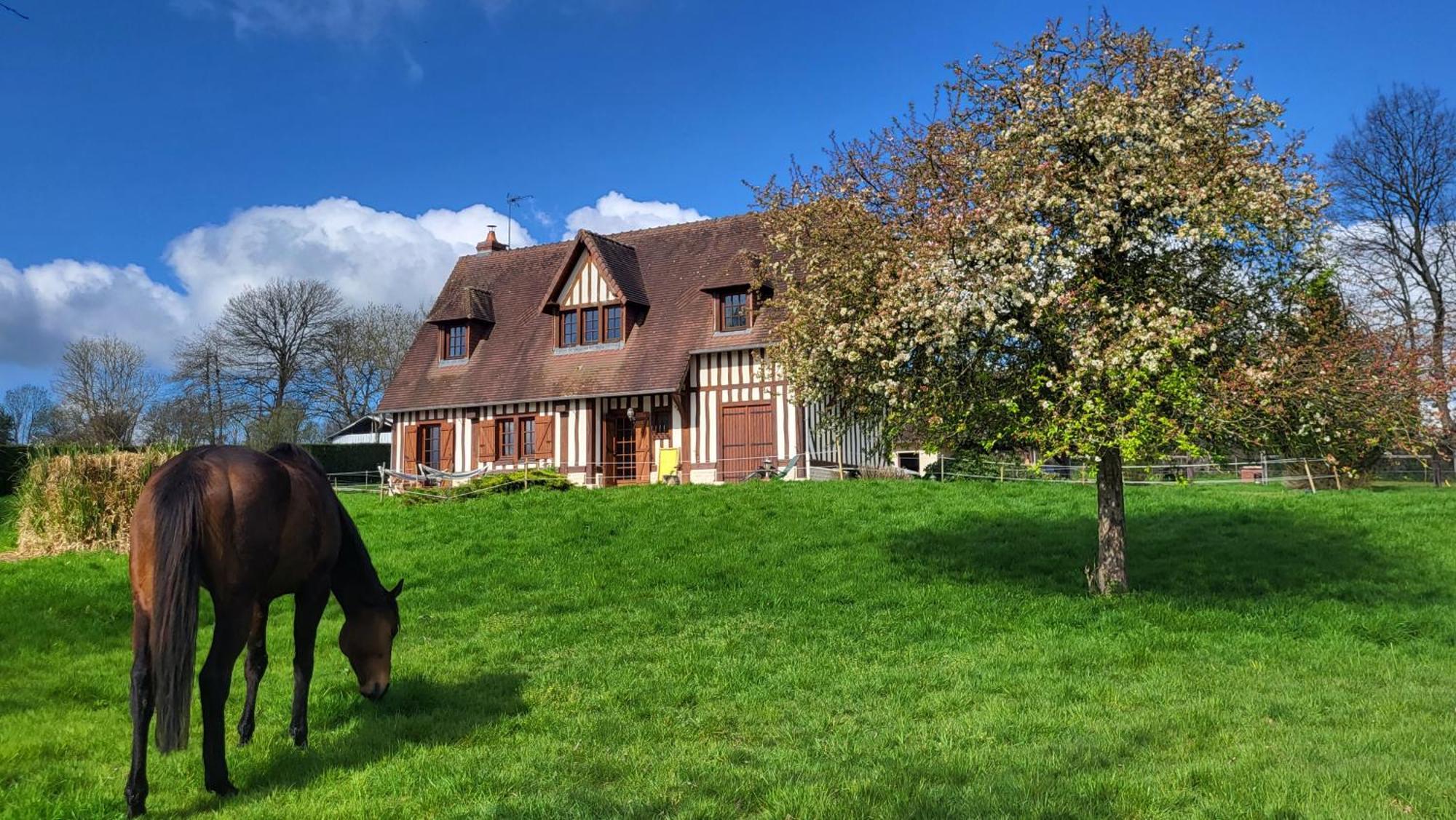Saint-Desir Relais Equestre Du Miloir - Chambres D'Hotes المظهر الخارجي الصورة