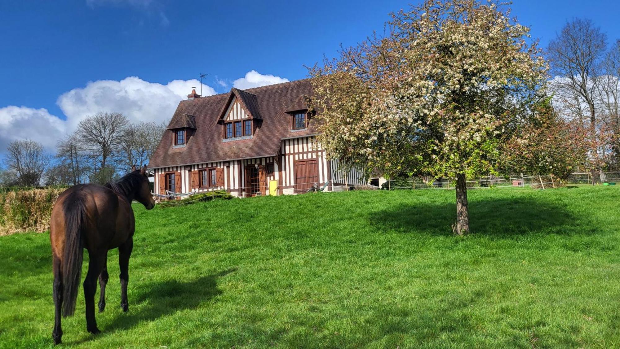 Saint-Desir Relais Equestre Du Miloir - Chambres D'Hotes المظهر الخارجي الصورة